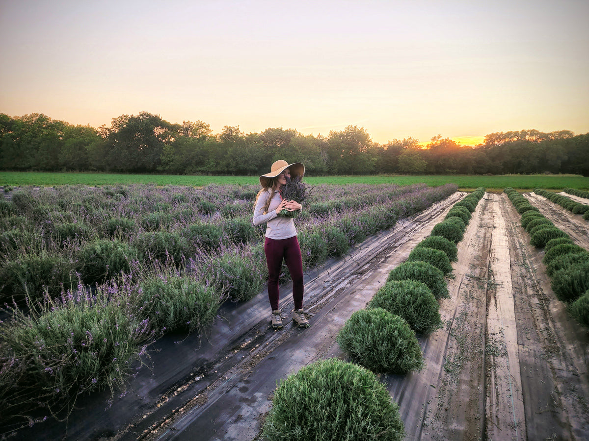 Sandhills Lavender Farm - Photo 4